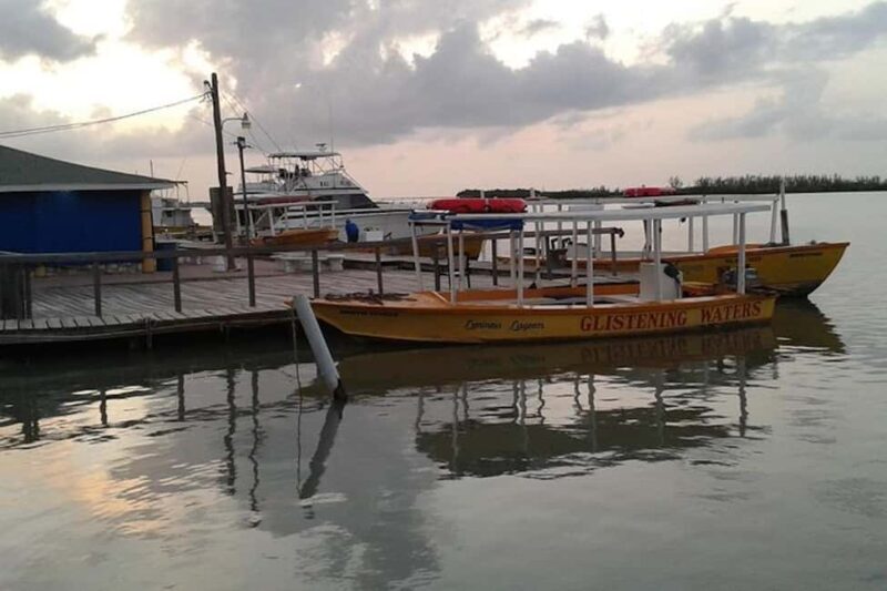 Montego Bay: Dunn's River Falls & Luminous Lagoon Tour - Exploring the Itinerary in Detail