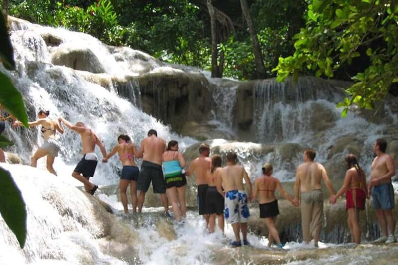 Montego Bay: Dunn's River Falls & Luminous Lagoon Tour - Considerations for Travelers