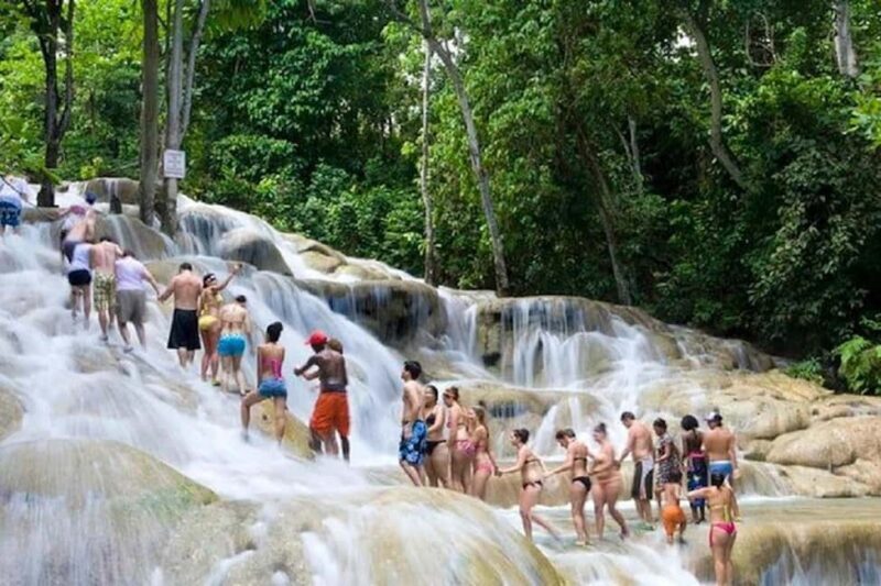 Montego Bay: Dunn's River Falls & Luminous Lagoon Tour - Final Thoughts: Who is This Tour Best For?