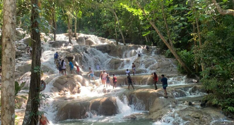 Montego Bay: Dunn's River Falls Private Excursion - Final Thoughts