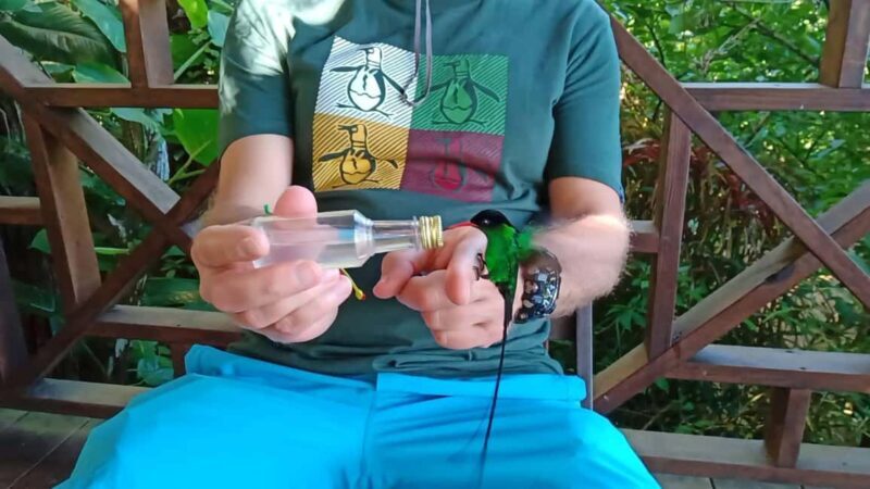 Montego Bay/Falmouth: Rockland Bird Sanctuary Private Tour - Key Points