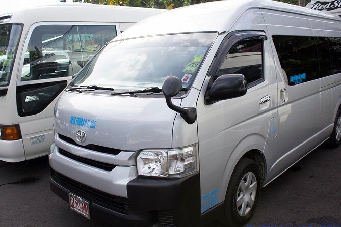 Montego Bay For A Day/ Private Customizable Tours/Jamaica Dream Vacation - A Deep Dive into the Montego Bay Private Tour Experience