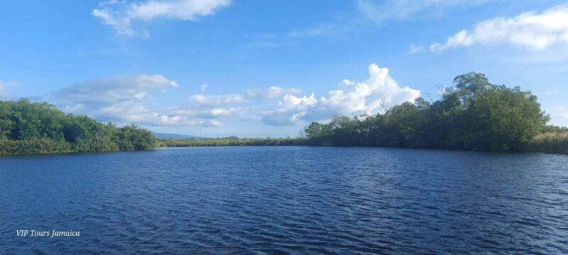 Montego Bay: Half-Day Black River Safari - Practical Tips for the Black River Safari