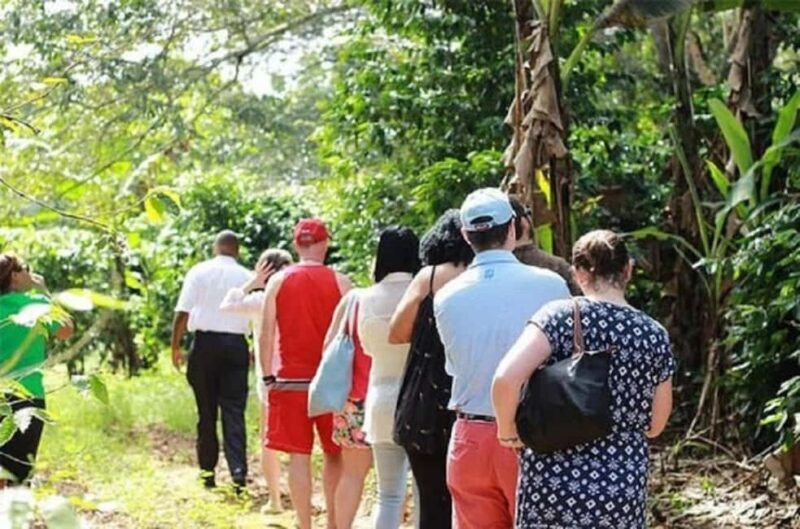 Montego bay Highlight Tour - Frequently Asked Questions (FAQs)