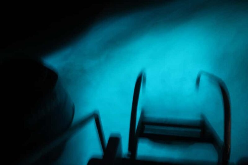 Montego Bay: Luminous Lagoon Evening Boat Tour - Exploring the Magic of Jamaica’s Luminous Lagoon on a Night Boat Tour