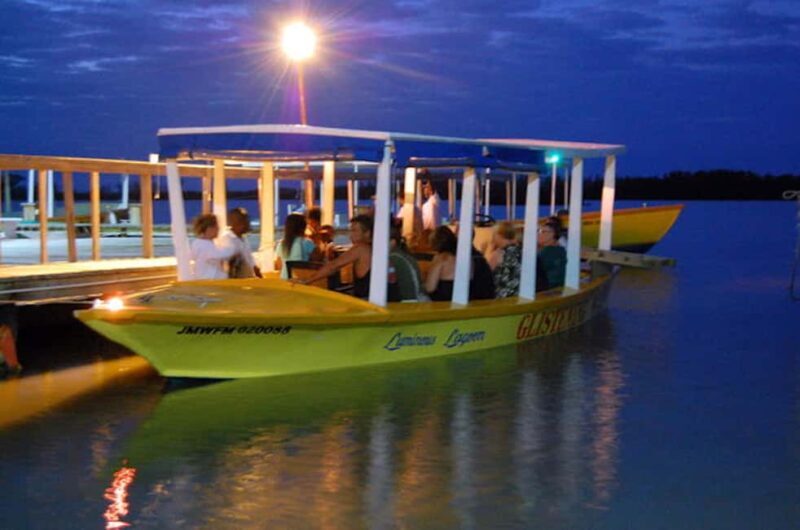 Montego Bay: Luminous Lagoon Night Tour by Boat - Summary: Why This Tour Stands Out