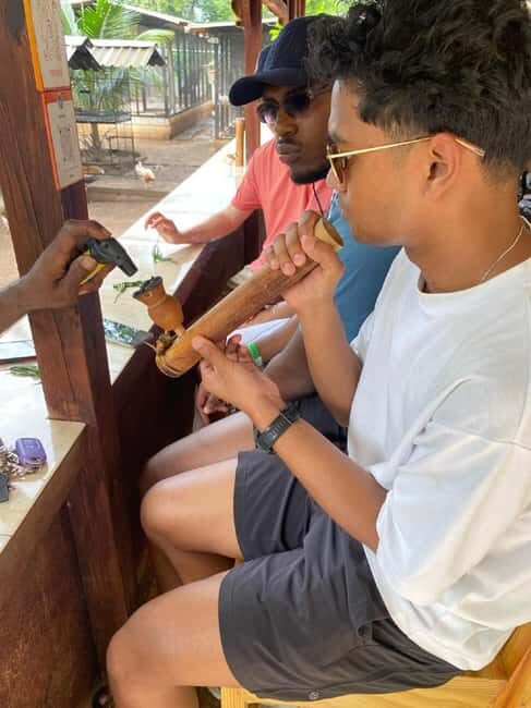 Montego Bay: Marijuana Farm and Bird Sanctuary Tour - Key Points