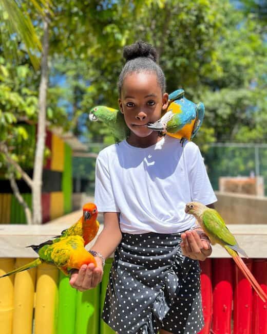 Montego Bay: Marijuana Farm and Bird Sanctuary Tour - FAQ