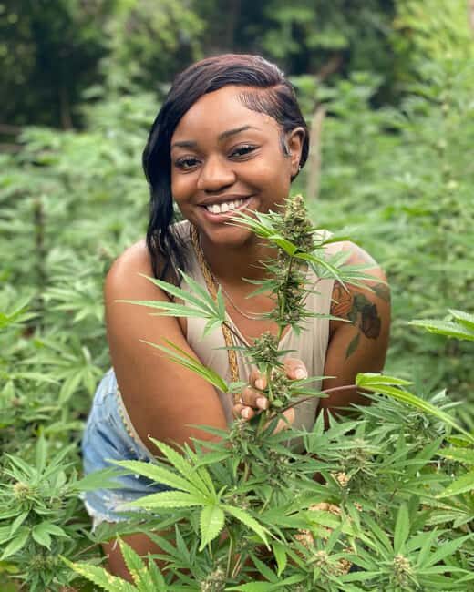 Montego Bay Marijuana Farm Tour - The Experience in Detail