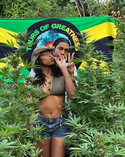 Montego Bay Marijuana Farm Tour - FAQs