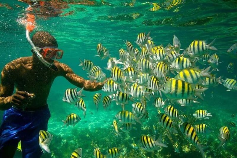 Montego Bay: Negril Seven Miles Beach & Booby Cay Boat Tour - The Value of This Tour