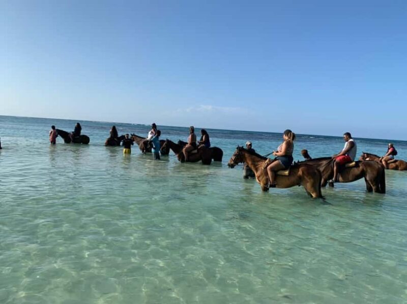 Montego Bay: Oceanfront Horseback Ride at Braco Stables - Who Will Love This Tour?