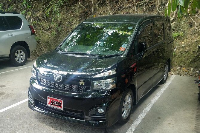 Montego Bay Private Airport Transfer - Key Points