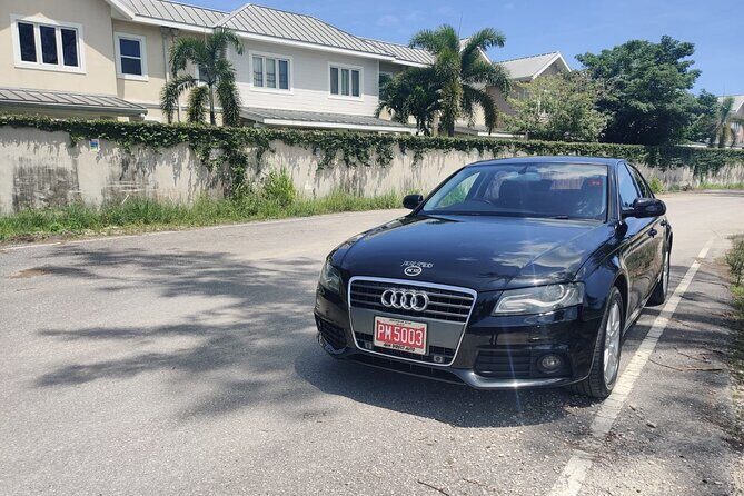 Montego Bay Private Airport Transfer - Who Will Benefit Most from This Transfer?