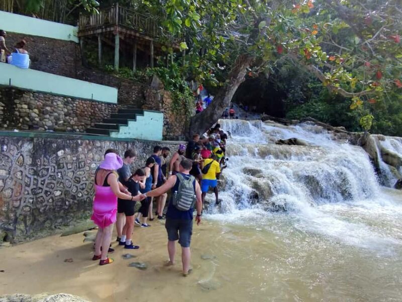 Montego Bay: Private Bob Marley and Dunn's River Falls Tour - An In-Depth Look at the Montego Bay Private Tour