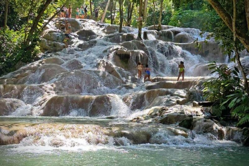 Montego Bay: Private Dunn's River Falls and Blue Hole Tour - In-Depth Look at the Itinerary
