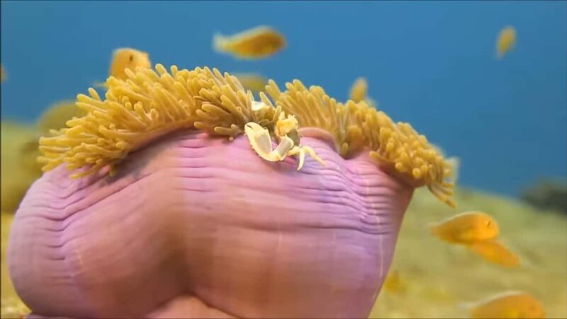 Montego Bay: Private Full-Day Tour to Negril - What Makes This Tour Stand Out?