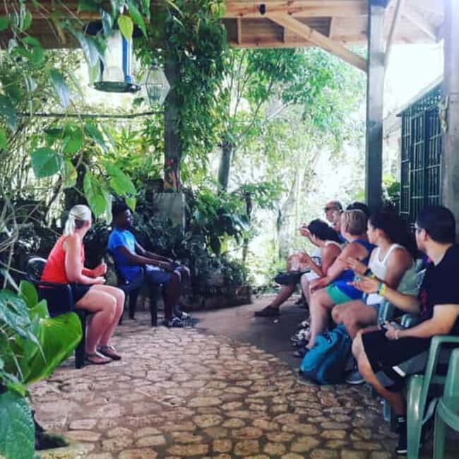 Montego Bay: Private Rocklands Bird Sanctuary Trip - In-Depth Review of the Rocklands Bird Sanctuary Private Trip