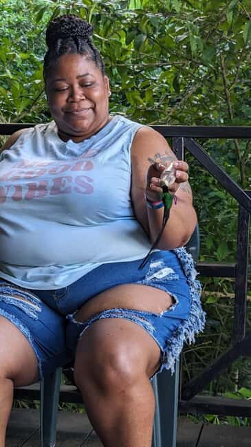 Montego Bay: Private Rocklands Bird Sanctuary Trip - Key Points