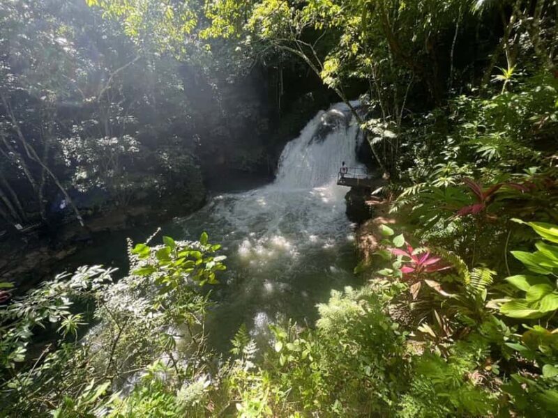 Montego Bay: Secret Falls And River Rapids Adventure - Who Would Love This Tour?