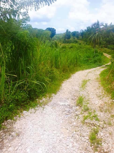 Montego Bay: The Great Kids Quest to the South Coast - The Sum Up