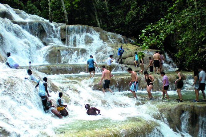 Montego Bay to Dunn's River Falls Half-Day Trip - Key Points