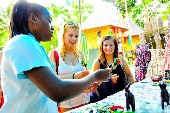 Montego Bay to Dunn's River Falls Half-Day Trip - Who Should Book This Tour?