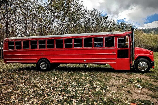 Montego Bay to Kingston PickUp & Drop-Off Service UP 20 PEOPLE - FAQ