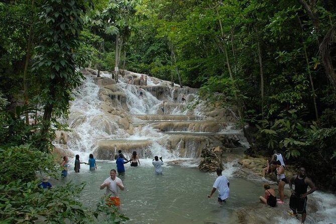 Montego Bay tour: Dunn's River Falls - Experience the Best of Jamaica with the Dunns River Falls Tour from Montego Bay