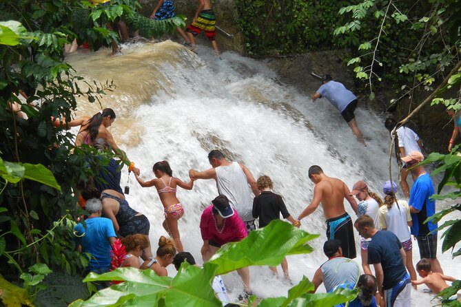 Montego Bay tour: Dunn's River Falls - A Deep Dive into the Dunns River Falls Experience