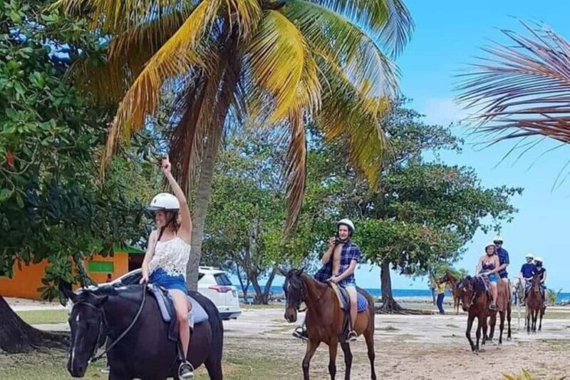 Montego Bay:Horseback Riding and Tubing Trip in Rio Bueno - What to Expect from the Tour