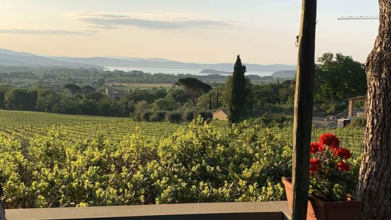 MONTEMELINO RARE WINES SELECTION - Who Will Love This Tour?