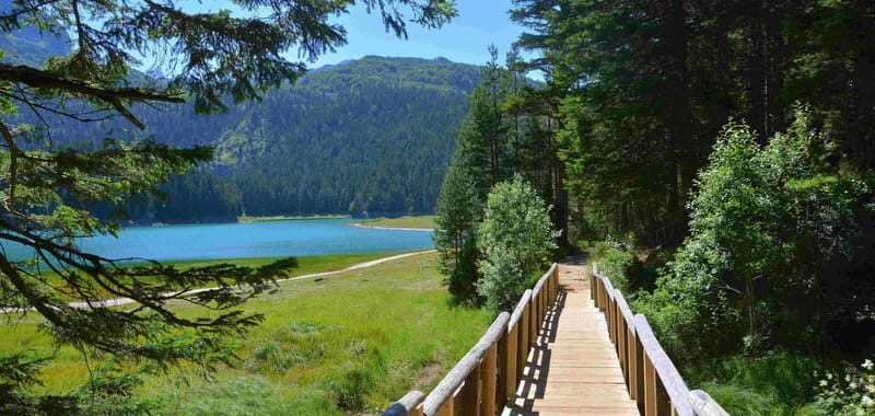 Montenegro Canyons day trip from Herceg Novi - Final Thoughts