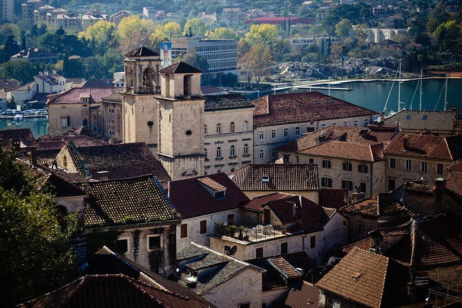 Montenegro Full-Day Trip from Dubrovnik with Optional Boat Trip - What the Reviews Say