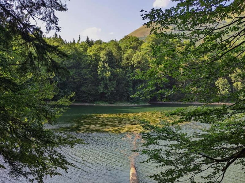 Montenegro Tour by train  Private tour - The Sum Up