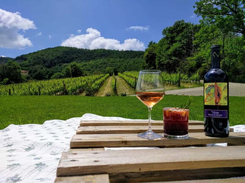 MONTEPULCIANO - PIC NIC WITH WINE! SURROUNDED BY VINEYARDS - A Deep Dive into the Experience