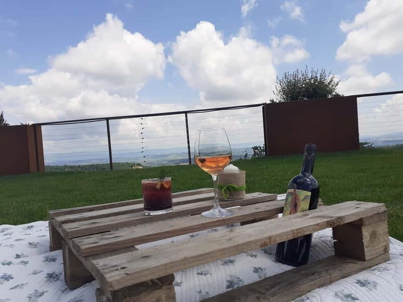 MONTEPULCIANO - PIC NIC WITH WINE! SURROUNDED BY VINEYARDS - The Sum Up