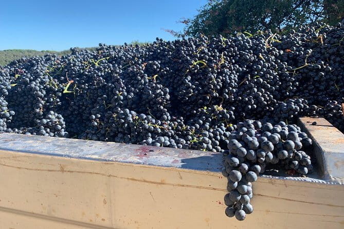 Montepulciano Pienza Montalcino Tour from Florence - FAQ