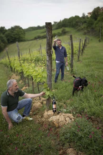 MONTEPULCIANO TASTE OF TUSCANY HEROIC WINES, CRU&LIMITED ED. - Practical Details