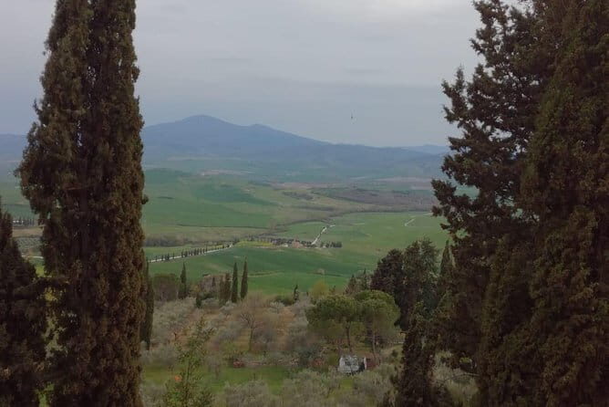 Montepulciano Wine & Pienza Flavors Private Day Tour from Tuscany - Frequently Asked Questions
