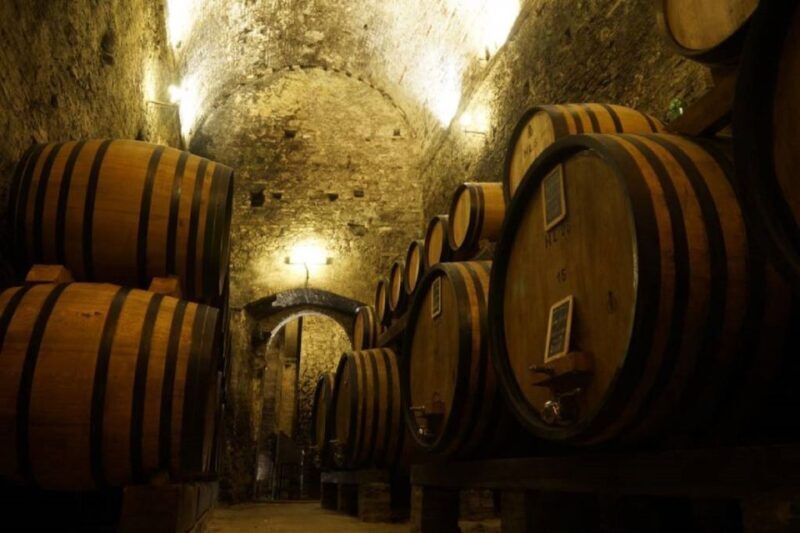 Montepulciano: Wine Tasting and Cellar Tour - Montepulciano: Wine Tasting and Cellar Tour – An Authentic Taste of Tuscany