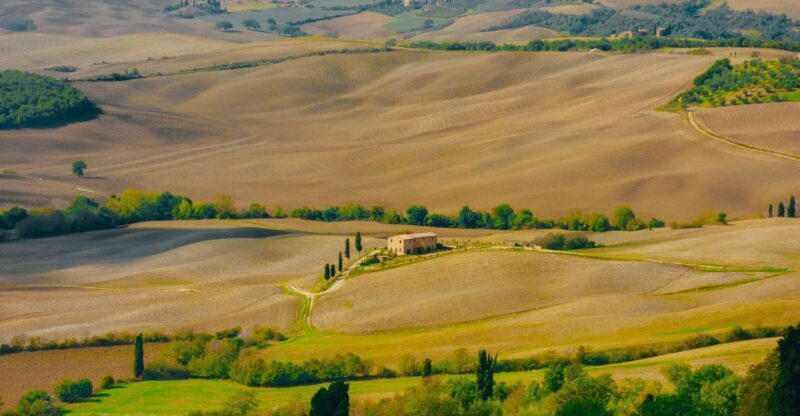 Montepulciano: Wine Tasting & Lunch in a Typical Winery - Montepulciano: Wine Tasting & Lunch in a Typical Winery – A Detailed Review