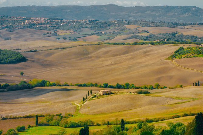 Montepulciano: Wine Tasting & Lunch in a typical winery - Key Points