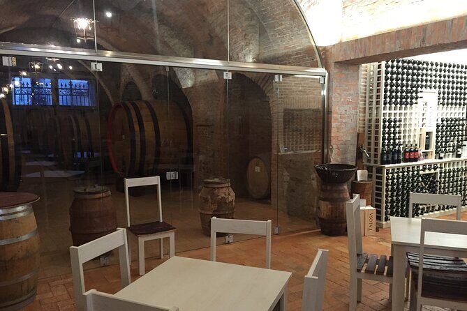 Montepulciano: Wine Tasting & Lunch in a typical winery - A Deeper Look at the Tour Experience