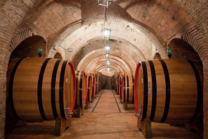 Montepulciano: Wine Tasting & Lunch in a typical winery - Accessibility and Practical Tips