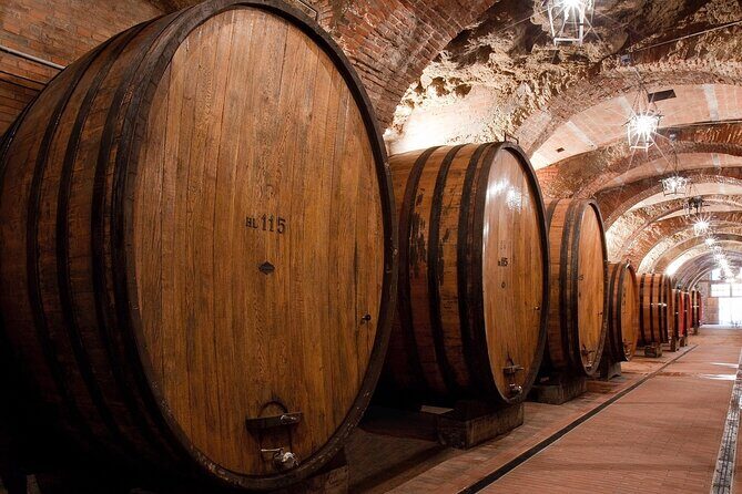 Montepulciano: Wine Tasting & Lunch in a typical winery - Final Thoughts: Who Is This Tour For?