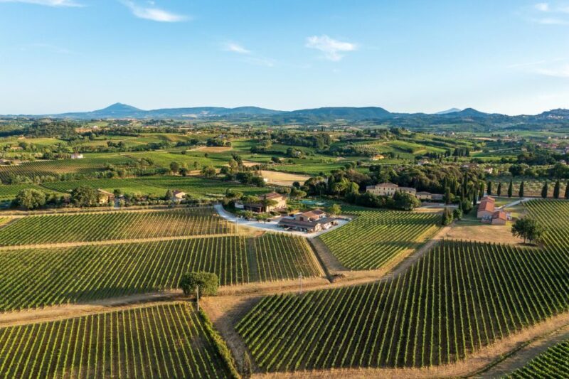 Montepulciano: Wine Tasting with typical Tuscan Cold Cuts - Who Would Enjoy This Tour?