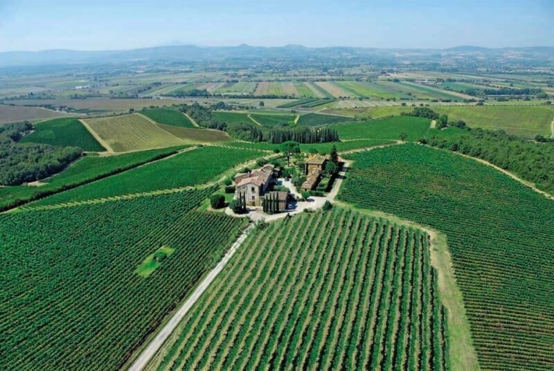 Montepulciano: Wine Tour and tasting - Discover the Heart of Tuscany with a Montepulciano Wine Tour and Tasting