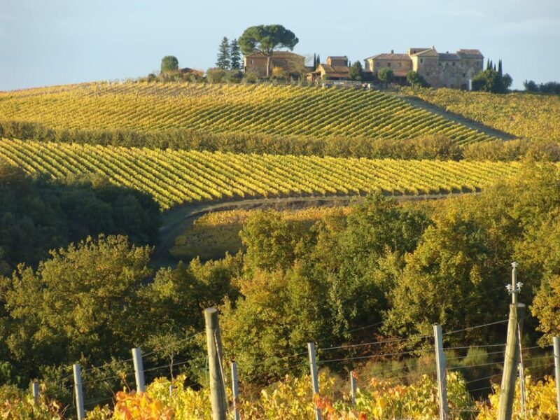 Montepulciano: Wine Tour and tasting - Practical Details and Value