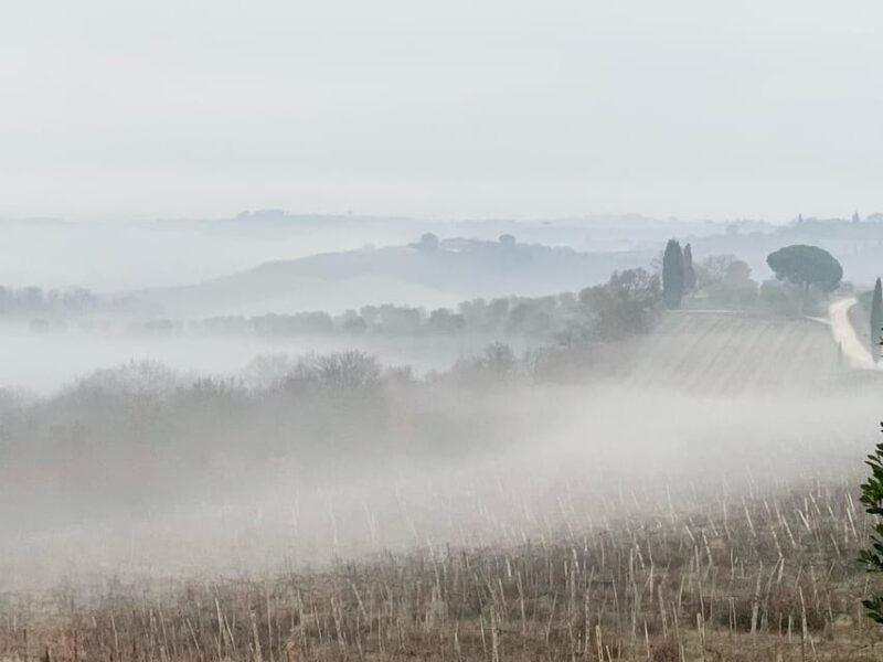 Montepulciano: Wine Tour and tasting - Authentic, Balanced, and Worthwhile